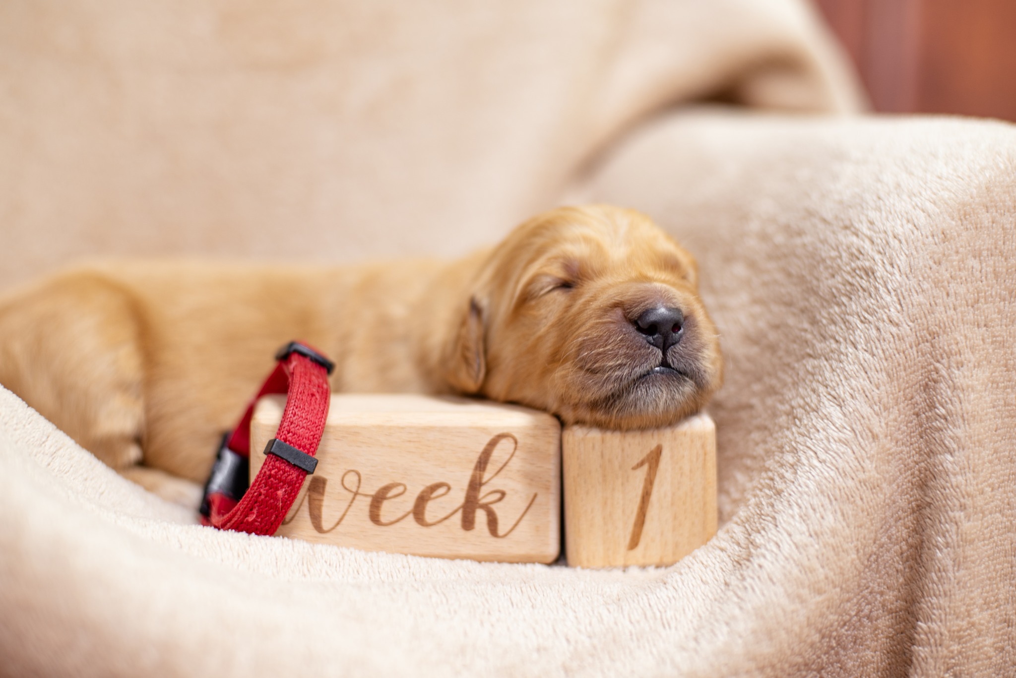 641344880_1350507603775491_1212177300391288259_n