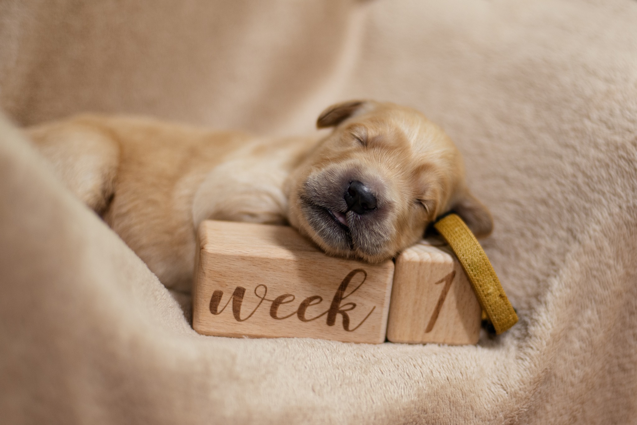 641364478_1350513790441539_7714751205585074498_n