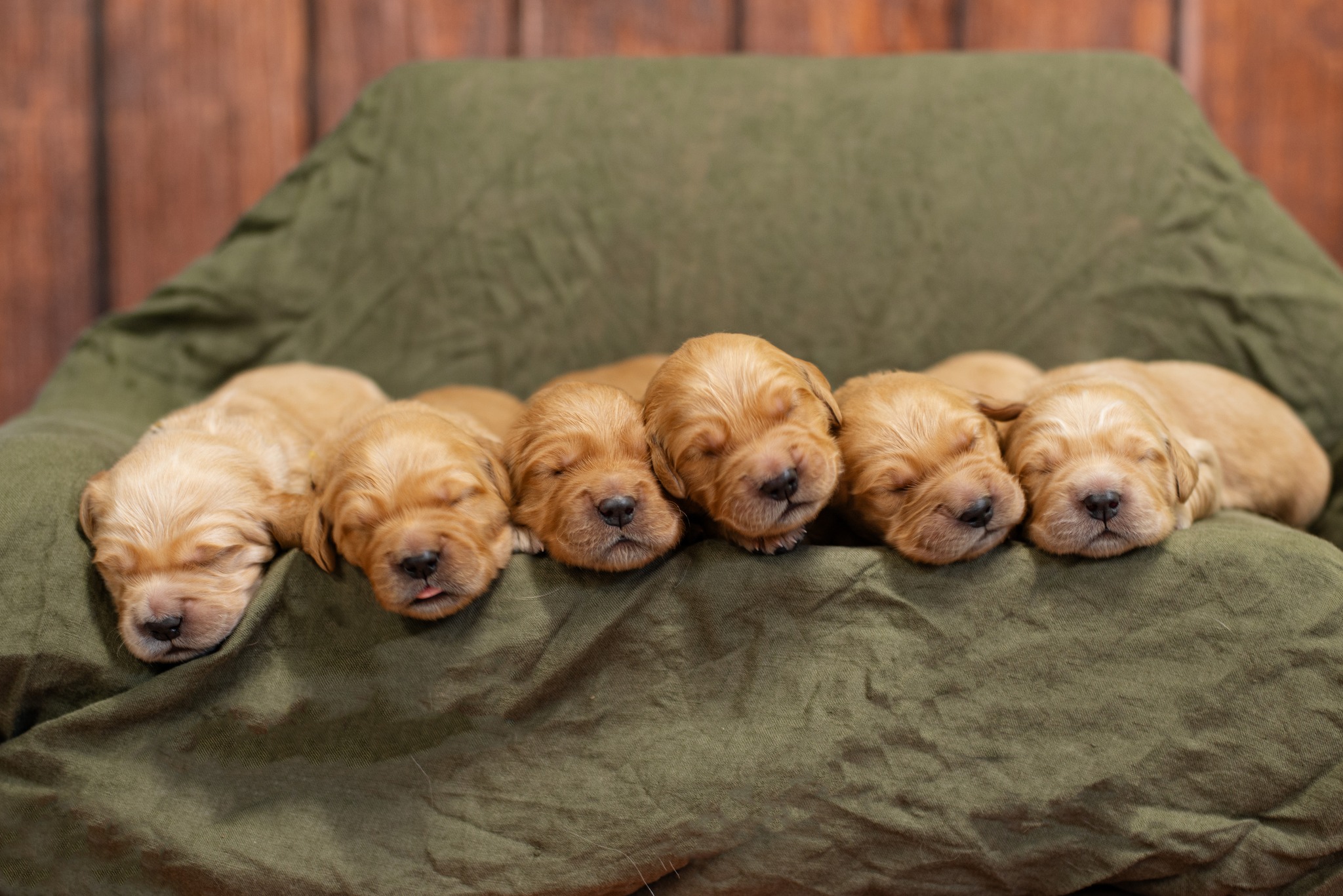 641456203_1350514010441517_7011471697000782433_n