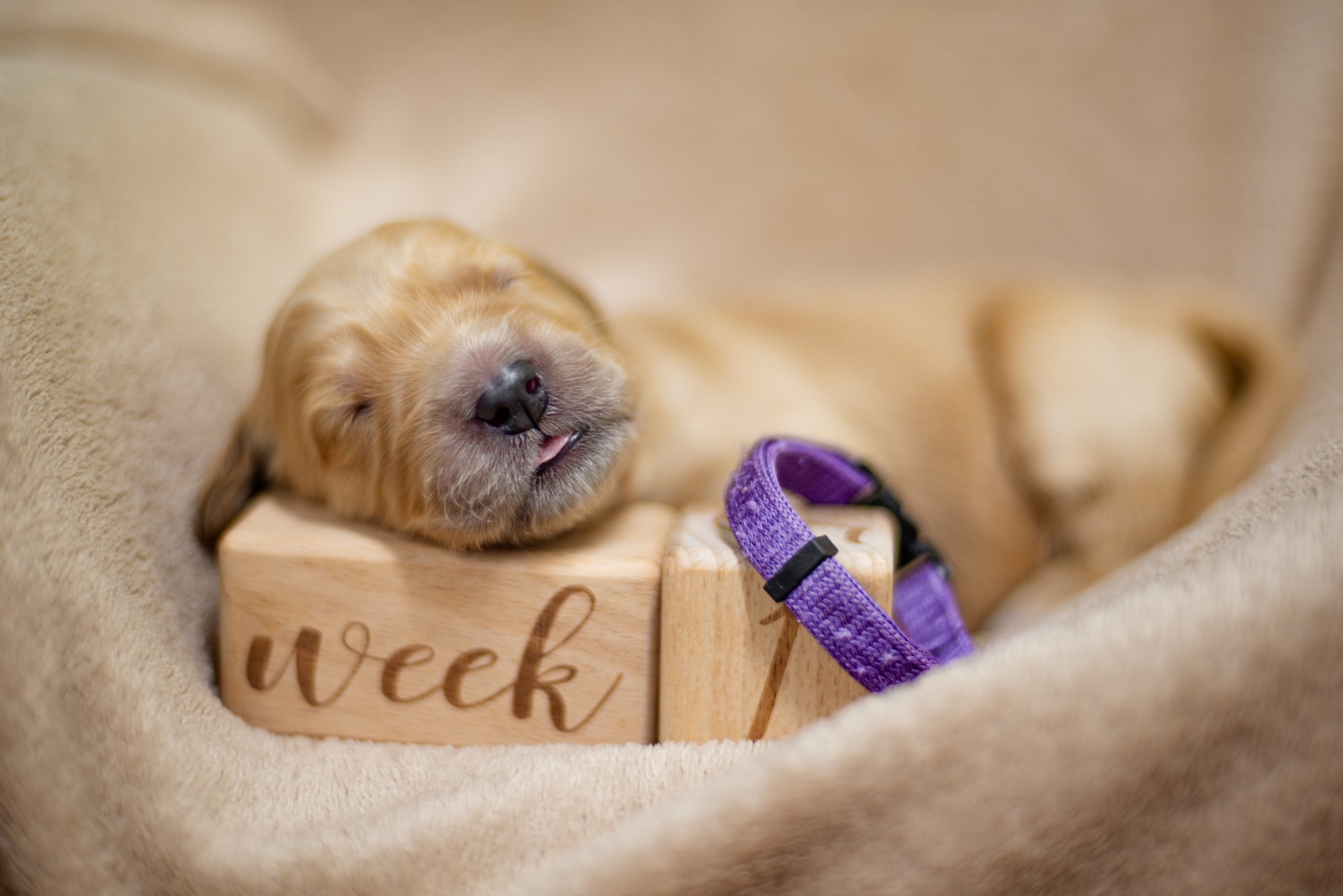 641467363_1350508407108744_6602271807036160134_n