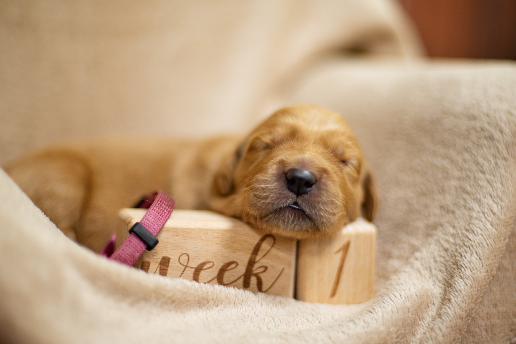 642585957_1350506693775582_2290850570498630932_n