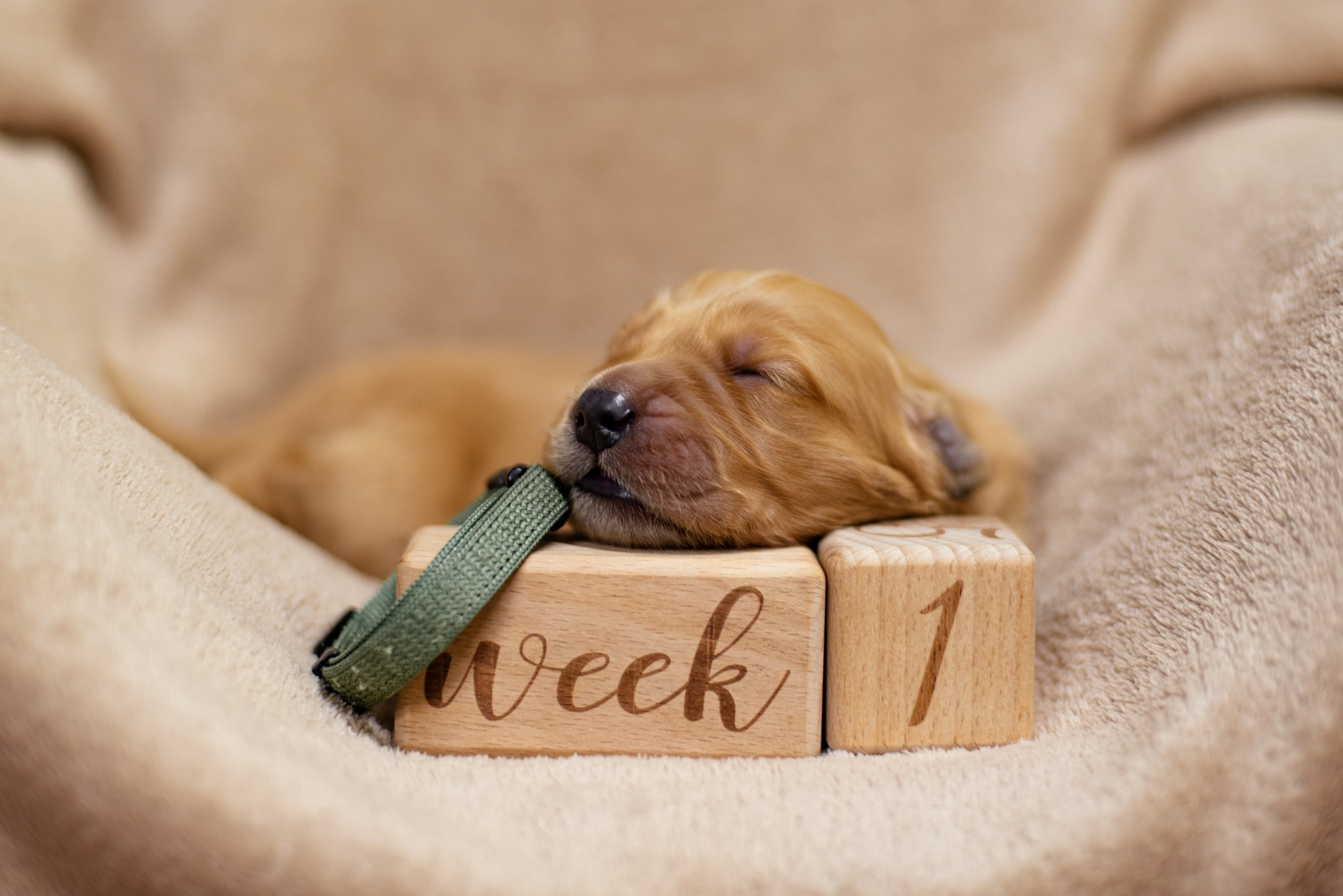 643312334_1350513553774896_4373424421626692345_n